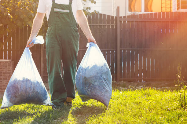 Best Same-Day Junk Removal  in St Elmo, IL